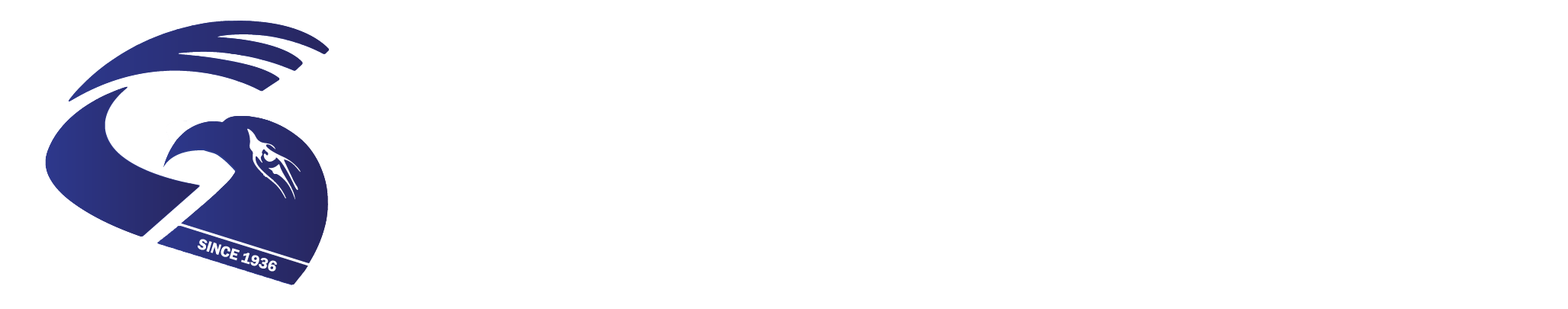 Goon International College logo